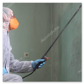 Schimmelsanierung: sauber saniertes Schlafzimmer